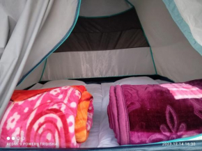 Fesengbor eco camp